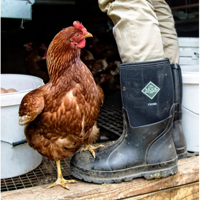 Bottes mi-hautes Chore Classic imperméable pour Hommes