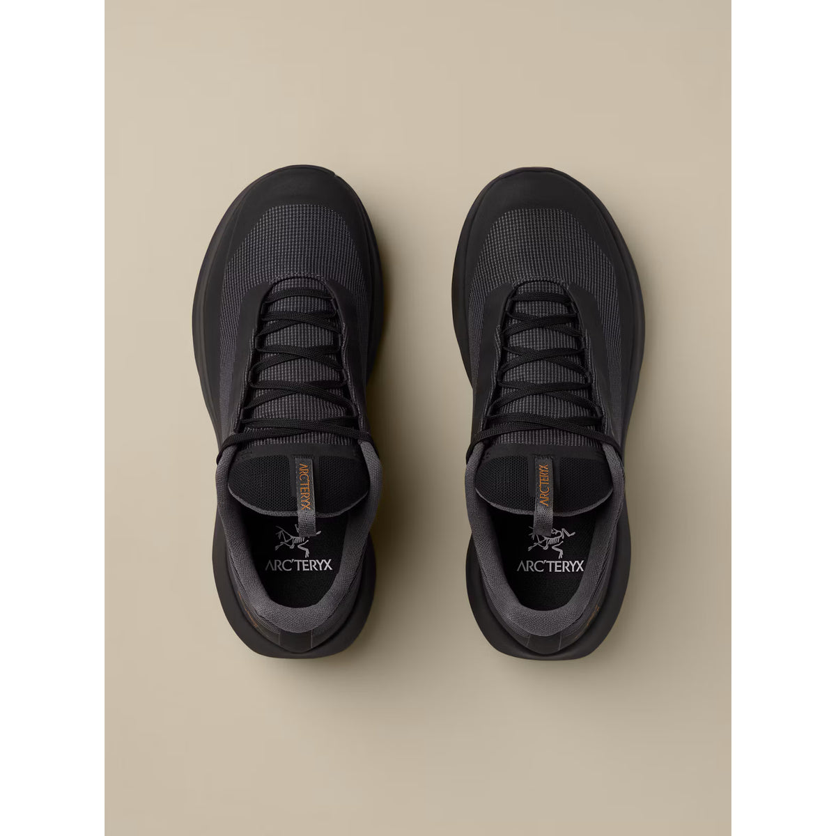 Norvan LD 4 GTX - Hommes