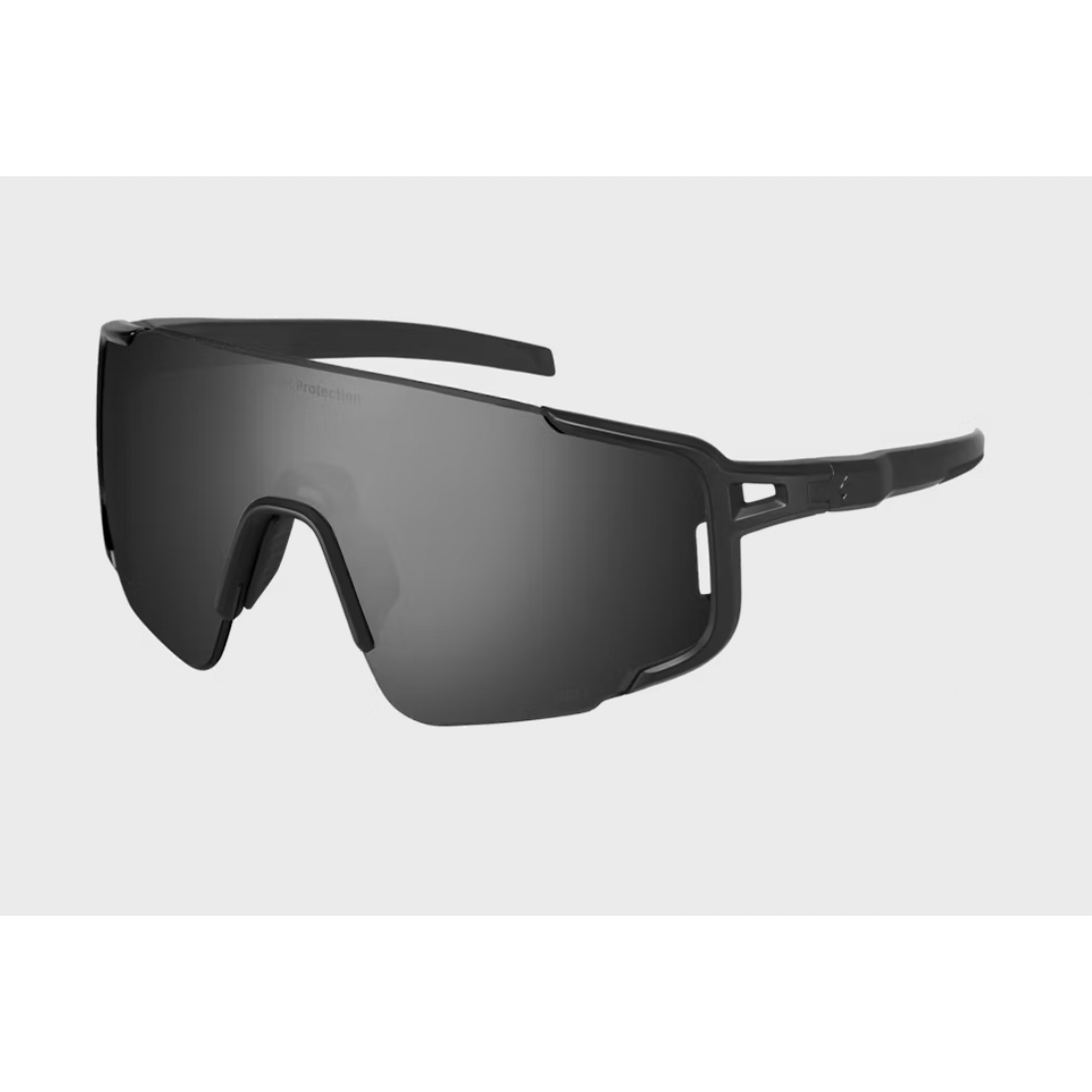 Ronin Polarized Sunglasses – Matte Black