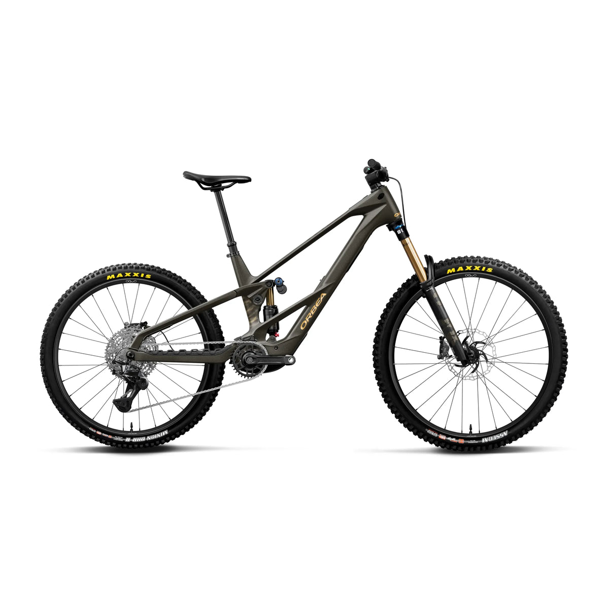Wild Mullet LT M10