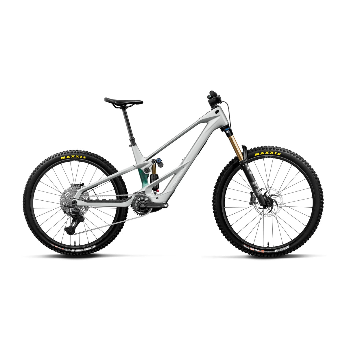 Wild Mullet LT M10
