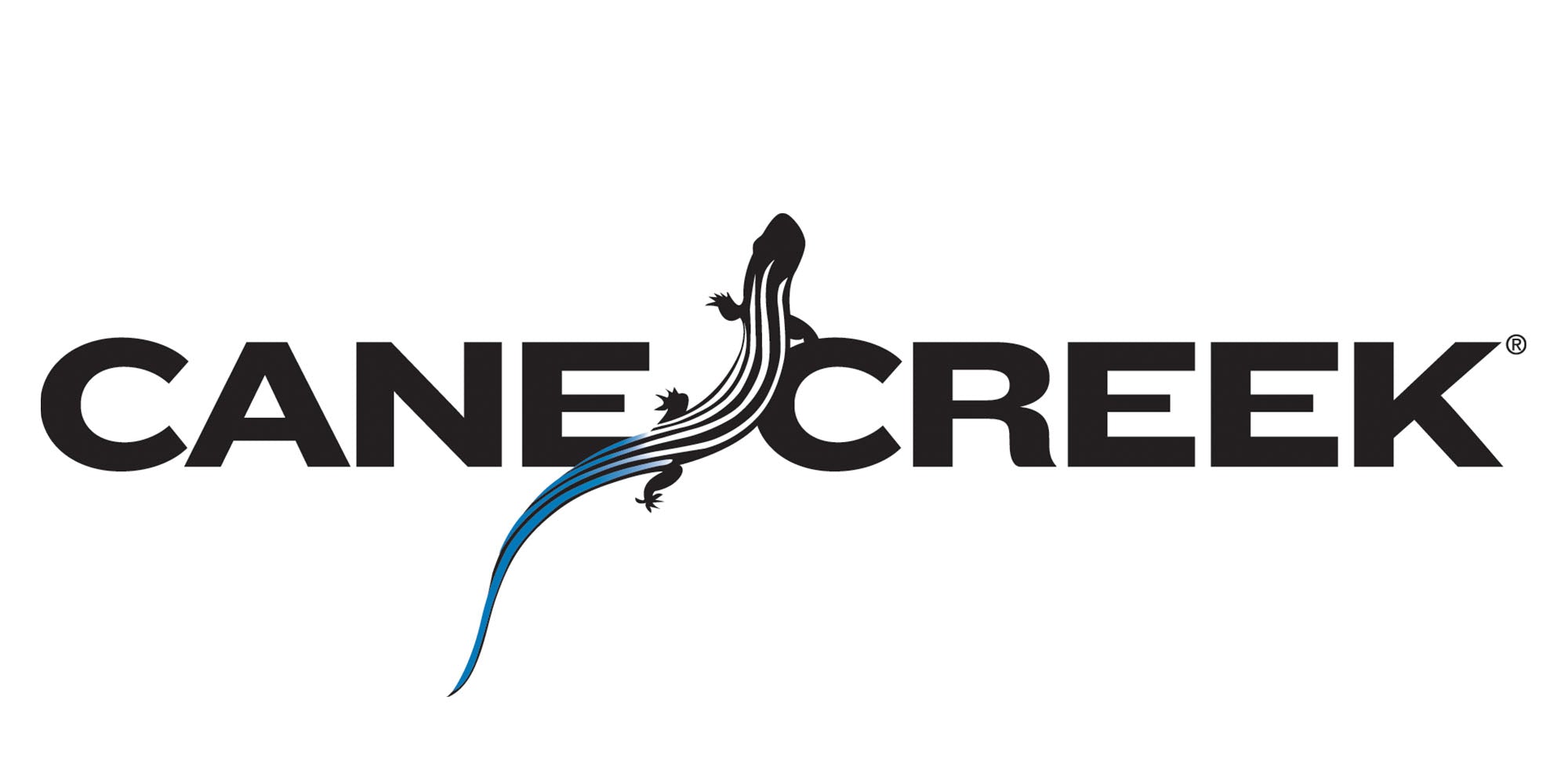 Cane Creek Shock