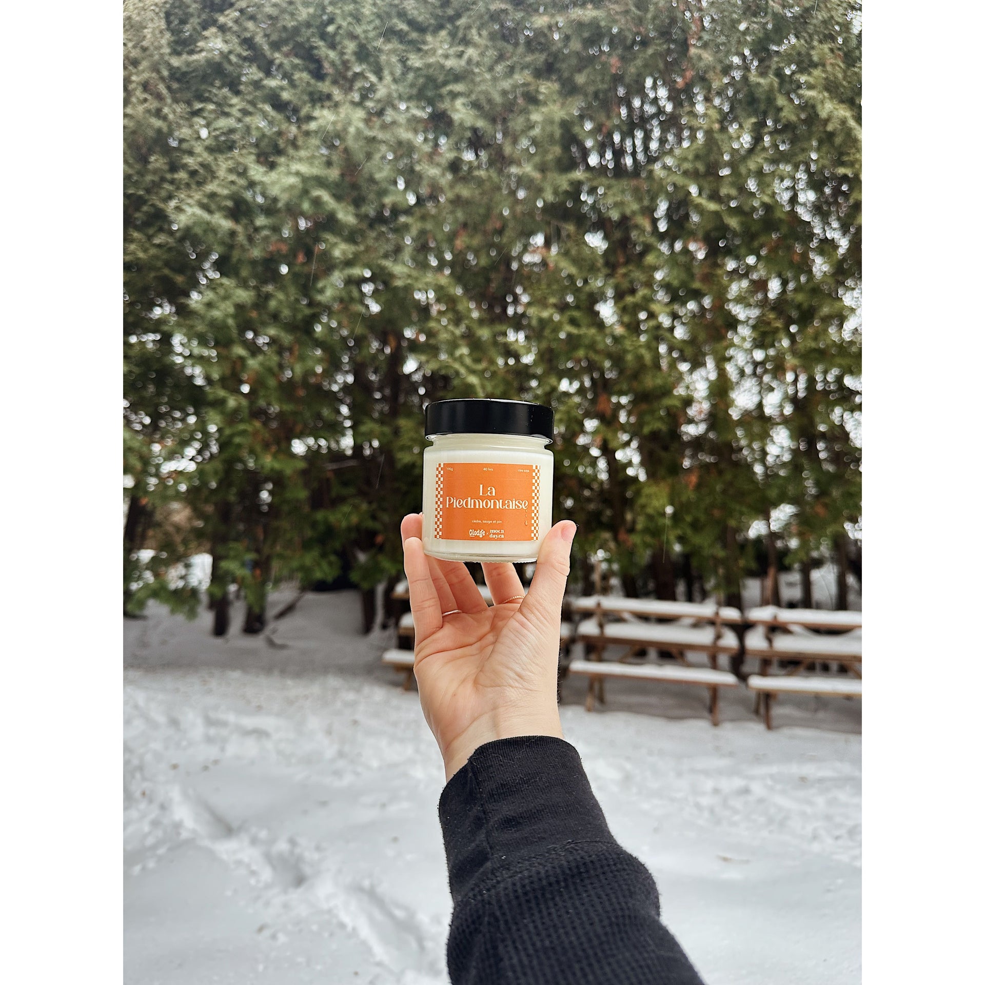 Chandelle Olodge x Moonday