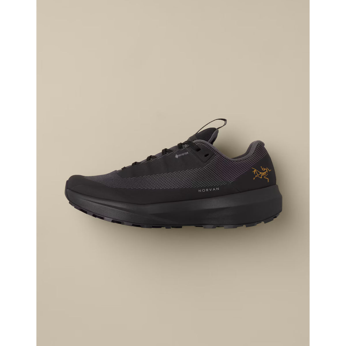 Norvan LD 4 GTX - Hommes