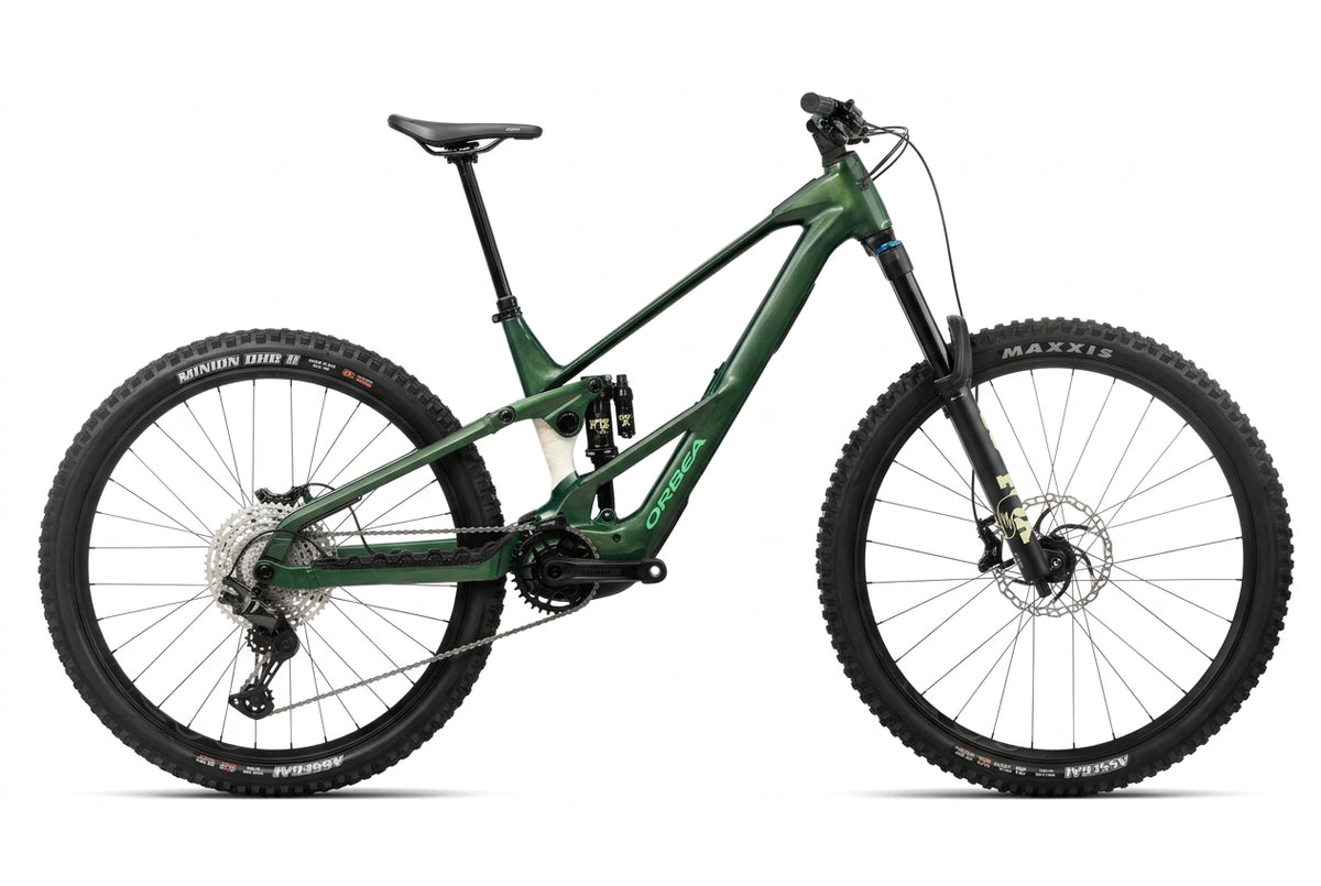 Wild Mullet LT H10