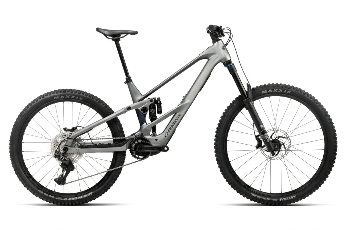 Wild Mullet LT H10