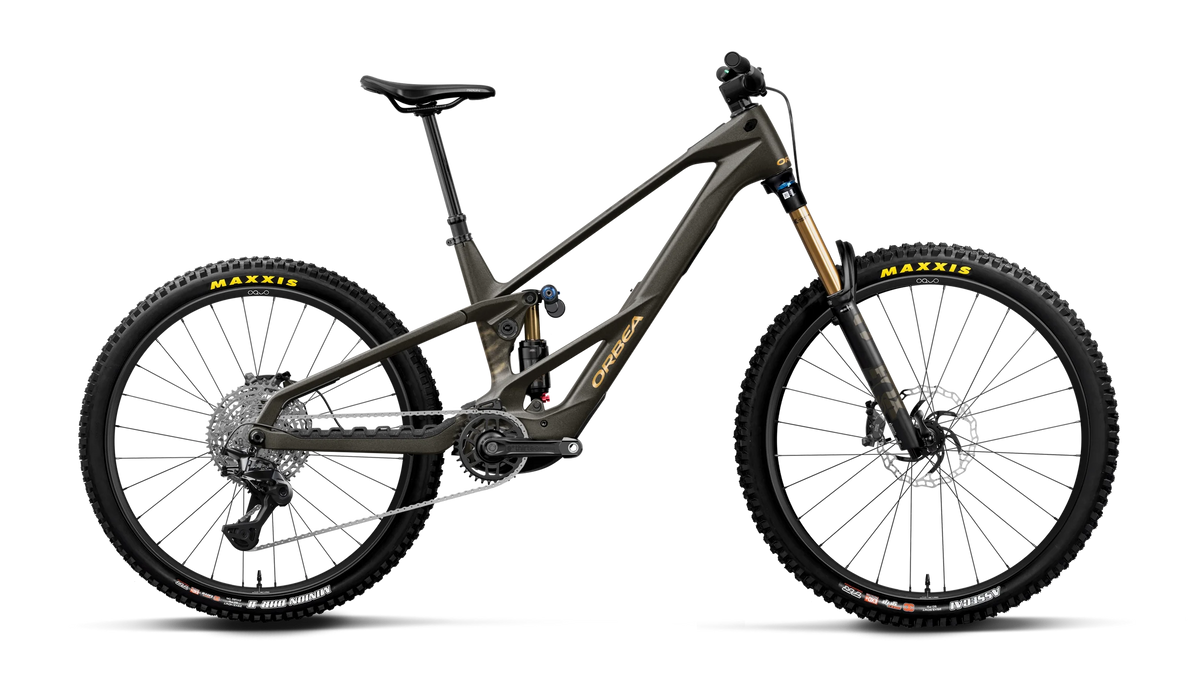 Wild Mullet LT M10