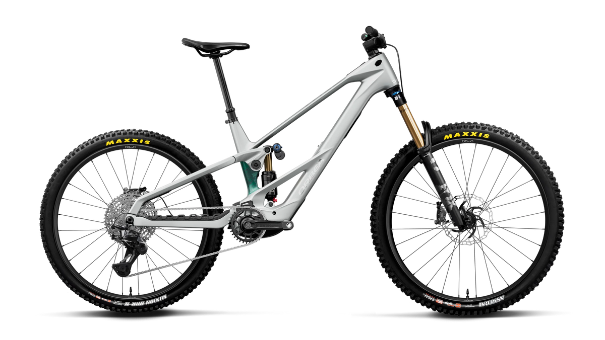 Wild Mullet LT M10