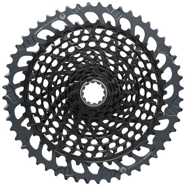 X01 Eagle - XG-1295 - 12S - 10-52T