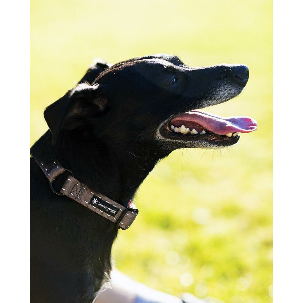 SP Halter Collar - L 15.7" - 23.6"||SP Slip Collar - L 15.7" - 23.6"